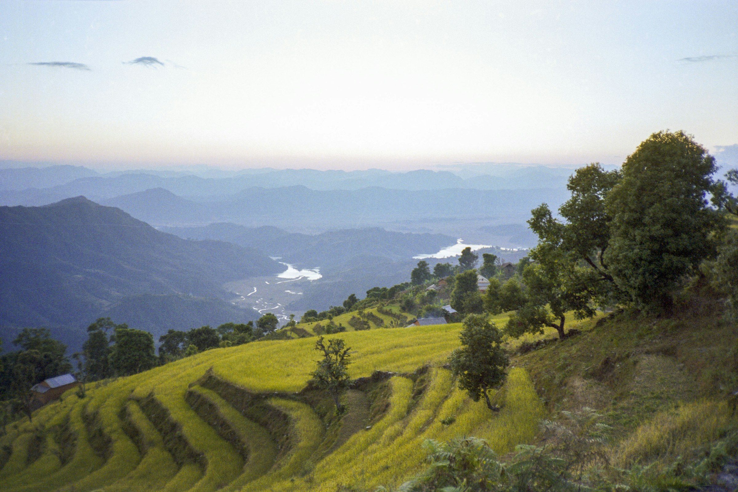 Green terraced fields in a Nepali river valley