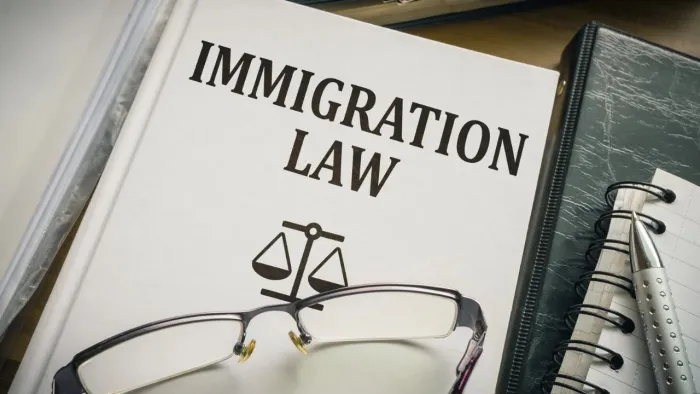 Immigration Law and Work Permits